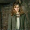 Hermione Granger 29
