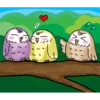 A little cute OWL 30