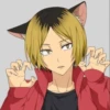 Black Neko 26