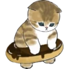 Kittens mofu_sand 3 30