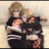 macaquinhos fofinhos 30