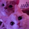 myloveforu 5