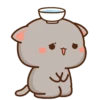 Cutie Cat 5