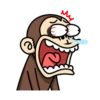 MY