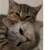 myloveforu 10