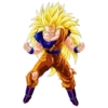 Goku 8