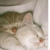 myloveforu 11