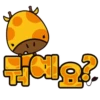 Kiki_Korean 13