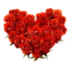 Flowers 16