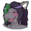 Kat & Waff 12