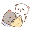 Cutie Cat 15