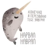 lovely narwhal 8