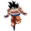 Goku 10
