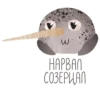 lovely narwhal 11