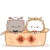 Cutie Cat 16