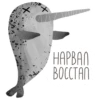 lovely narwhal 12