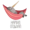 lovely narwhal 13