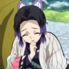 Demon slayer 15