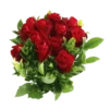 Flowers 22