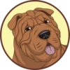 Cute Dogs 12