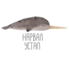 lovely narwhal 15