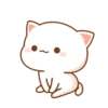 Cutie Cat 17