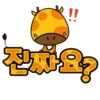 Kiki_Korean 20