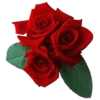 Flowers 23