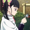 Demon slayer 17
