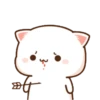 Cutie Cat 20