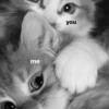 myloveforu 18