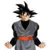 Goku 12