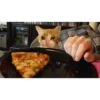 Sad cats 23