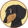 Cute Dogs 15