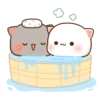 Cutie Cat 22