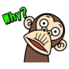 Why?
