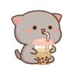 Cutie Cat 23