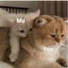 myloveforu 22