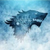 WINTER
COMING
STARE