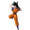 Goku 16