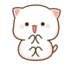 Cutie Cat 25