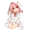 Kawaiis 29
