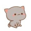 Cutie Cat 26