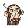 Crazy Funky Monkey 27