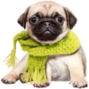 Dogs 25