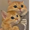 myloveforu 24