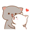 Cutie Cat 28