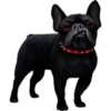 Dogs 27