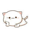 Cutie Cat 29
