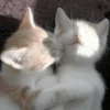 myloveforu 28